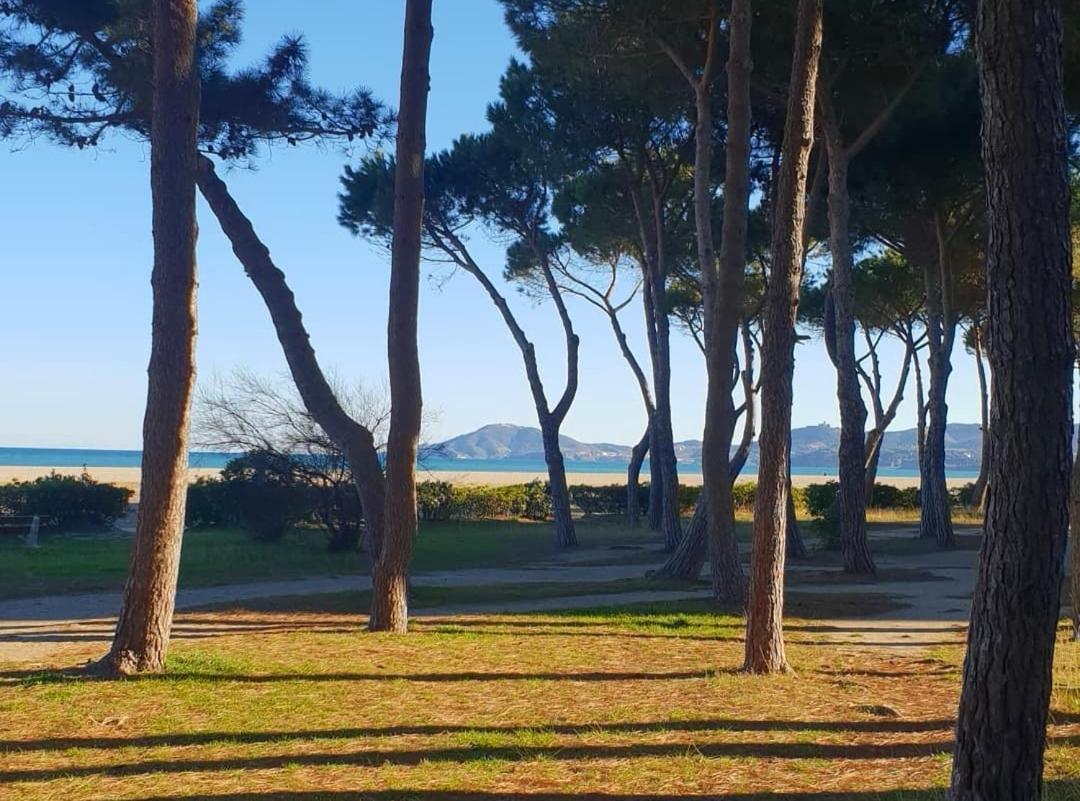 Les Lavandines -Coquette Maison De Vacances - 400 M De La Plage - Grande Terrasse - 2 Chambres - 2 Salles De Bain - Tout Confort Argeles-sur-Mer Luaran gambar